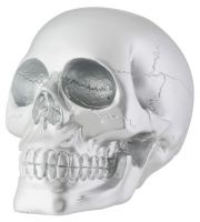 Silver Skull